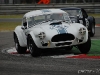 ac-cobra-289