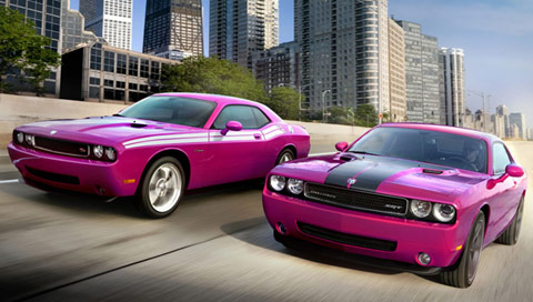  Dodge Challenger on Comment Dit On Dans Ces Cas La Rose Chez Dodge