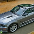 Ford Mustang S281